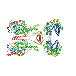 BU of 8wbz by Molmil