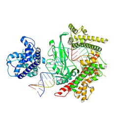 BU of 8wfa by Molmil
