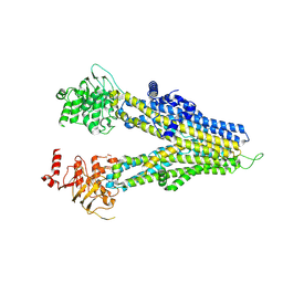 BU of 8wi4 by Molmil