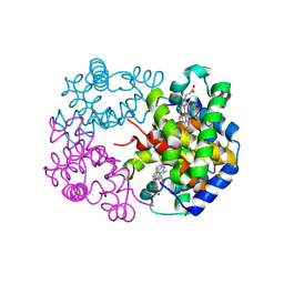 BU of 8wj2 by Molmil