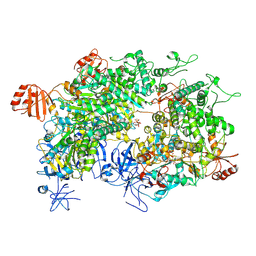 BU of 8wj3 by Molmil