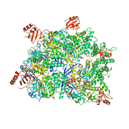 BU of 8wk0 by Molmil