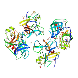 BU of 8wk1 by Molmil