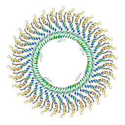 BU of 8wk4 by Molmil