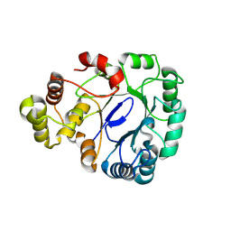 BU of 8wk7 by Molmil