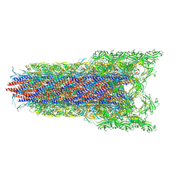 BU of 8wki by Molmil