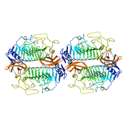 BU of 8wm1 by Molmil