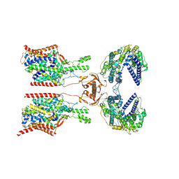 BU of 8wm3 by Molmil