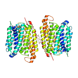 BU of 8wm5 by Molmil