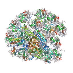 BU of 8wmj by Molmil