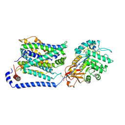 BU of 8wnt by Molmil