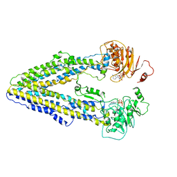 BU of 8wp0 by Molmil