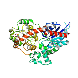 BU of 8wp5 by Molmil