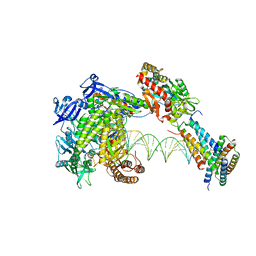 BU of 8wpf by Molmil