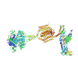 BU of 8wpu by Molmil