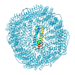 BU of 8wpv by Molmil