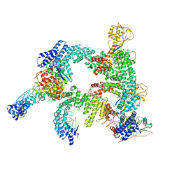 BU of 8wqb by Molmil