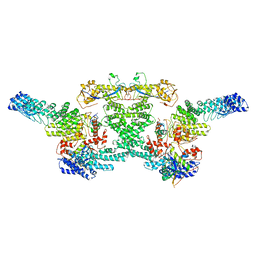 BU of 8wqc by Molmil