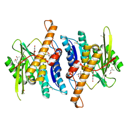 BU of 8wr2 by Molmil