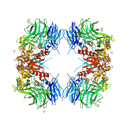 BU of 8wt1 by Molmil