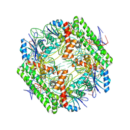 BU of 8wt7 by Molmil