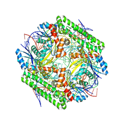 BU of 8wt9 by Molmil