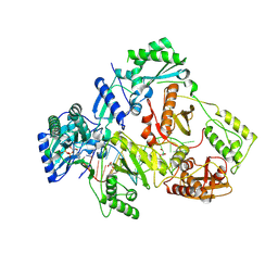 BU of 8x22 by Molmil