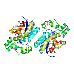 BU of 8x2s by Molmil