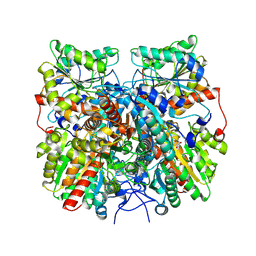 BU of 8x3g by Molmil