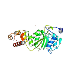 BU of 8x44 by Molmil