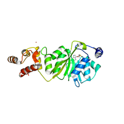 BU of 8x4i by Molmil