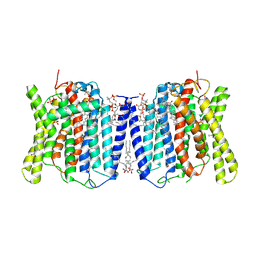 BU of 8x5b by Molmil