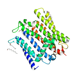 BU of 8x5e by Molmil