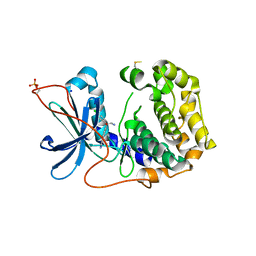 BU of 8x5l by Molmil