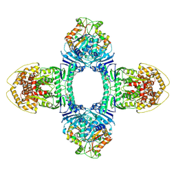 BU of 8x5n by Molmil