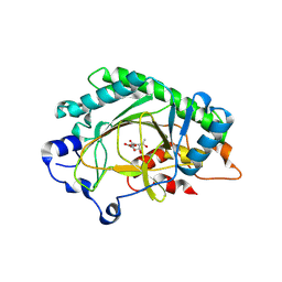 BU of 8x6q by Molmil