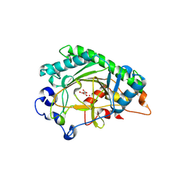 BU of 8x7c by Molmil