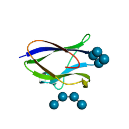 BU of 8x8k by Molmil