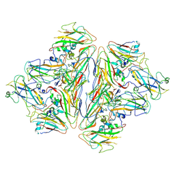 BU of 8x9b by Molmil