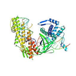 BU of 8xcc by Molmil