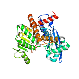 BU of 8xcp by Molmil