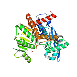 BU of 8xd2 by Molmil