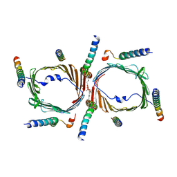 BU of 8xdn by Molmil