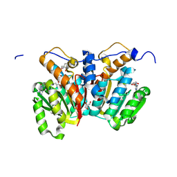 BU of 8xdr by Molmil