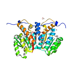 BU of 8xds by Molmil