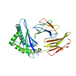 BU of 8xg2 by Molmil