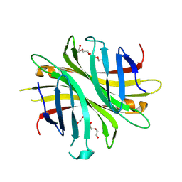 BU of 8xg5 by Molmil