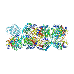 BU of 8xgt by Molmil