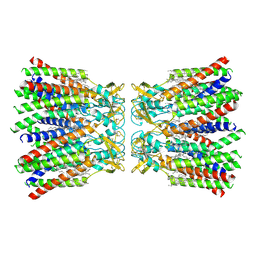 BU of 8xh8 by Molmil