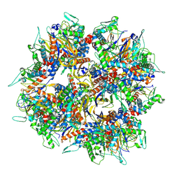 BU of 8xll by Molmil